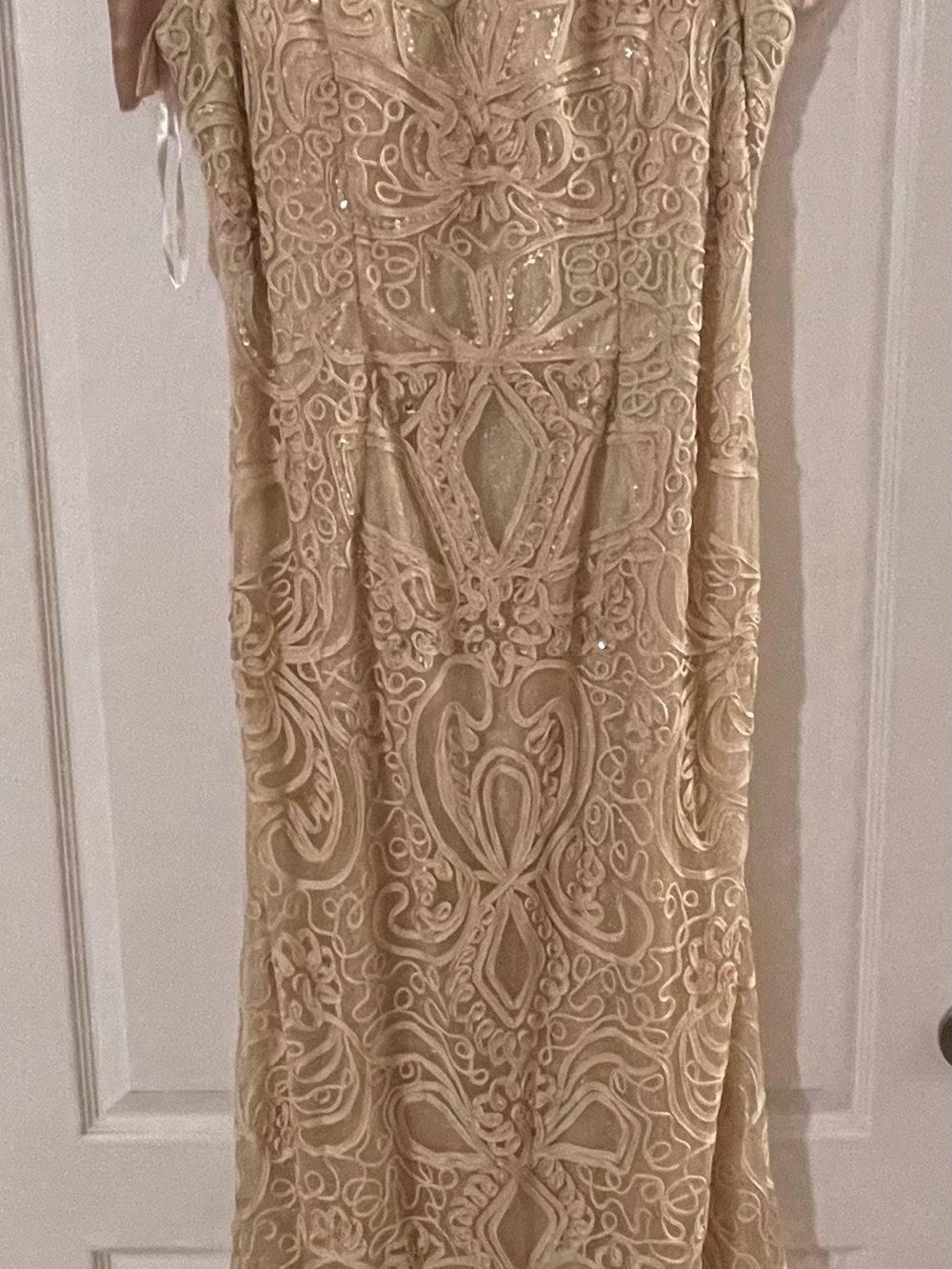 Beaded Champagne Lace Evening Gown